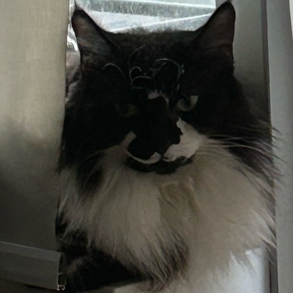 Meet your Posher, Kate - Picture 2 of 2